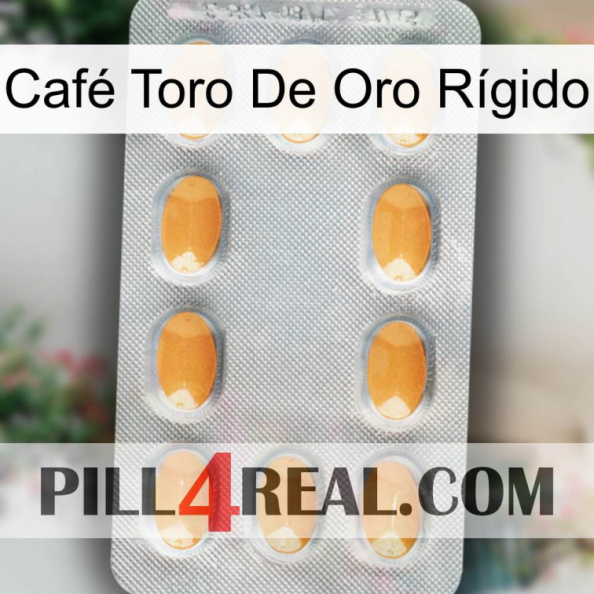 Café Toro De Oro Rígido cialis3.jpg